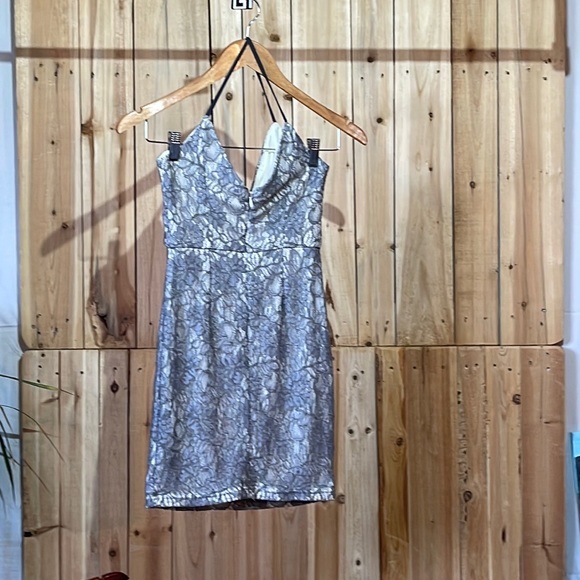 Line + Dot Lace Dress - Picture 3 of 6